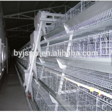 Etiópia Layer Chicken Farm Poultry Equipment For Sale